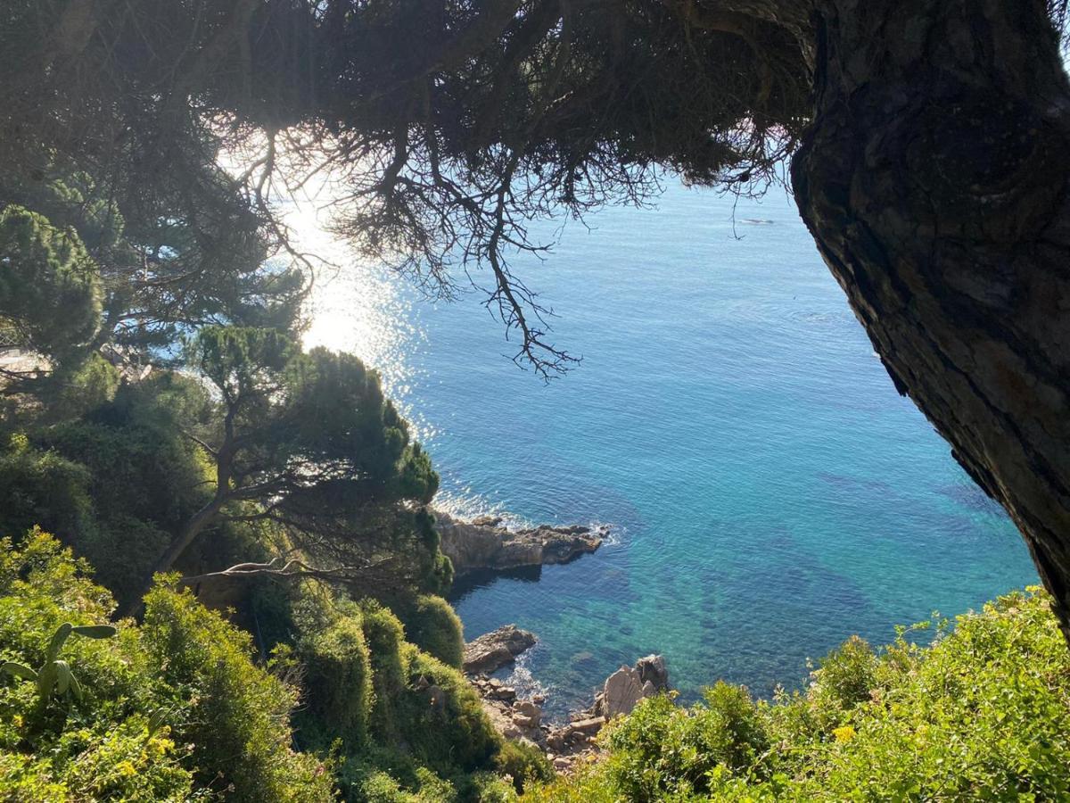 Casa Brisa Villa Blanes Eksteriør bilde